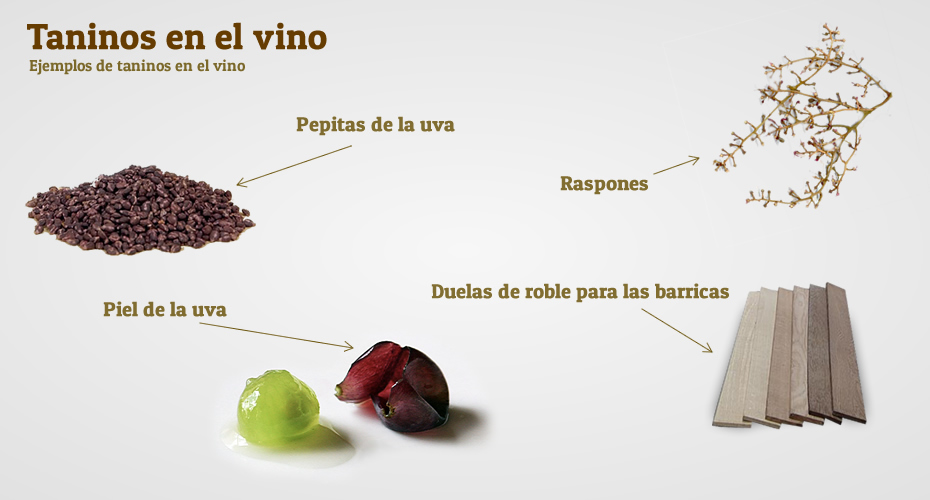 Qué son los taninos del vino